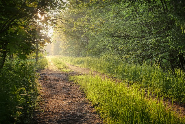 The Path to Induction: How Legends Are Chosen