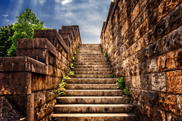 Your Step-by-Step Sun Printing Journey
